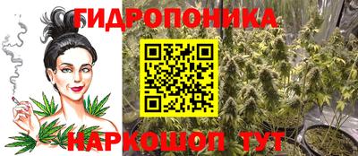 сатива Нальчик