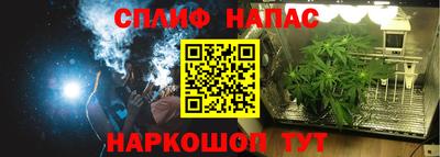 сатива Нальчик