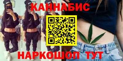 сатива Нальчик