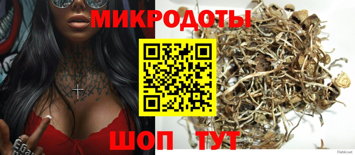 Псилоцибиновые грибы Psilocybine cubensis  Псилоцибиновые грибы мицелий  Вход с VPN  Рубцовск 